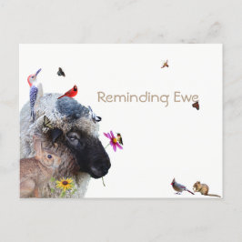 Reminding Ewe:リマインダカード 案内ポストカード