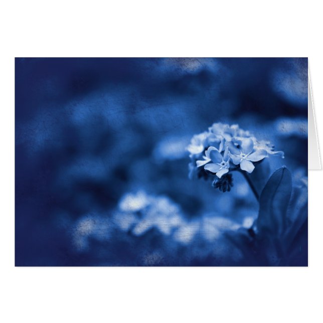 Reminiscence (正面横)