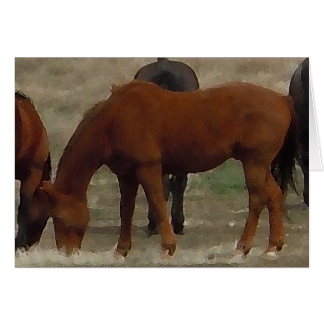 Remudaの群れによっては-牧場牛馬-ブランクが牧草を食べます (正面横)