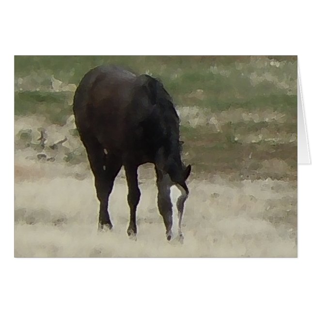 Remudaの群れによっては-牧場牛馬-ブランクが牧草を食べます (正面横)