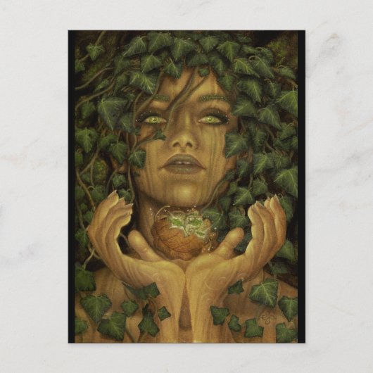 Renaissance ポストカード (正面)