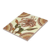 Repro 1885 Asian Lilly Transferware タイル (側面)