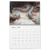 Reptiles Wall Calendar by J.W. Fathree. カレンダー (2月 2027)