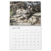 Reptiles Wall Calendar by J.W. Fathree. カレンダー (1月 2027)