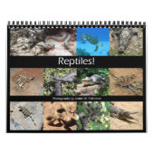 Reptiles Wall Calendar by J.W. Fathree. カレンダー (カバー)