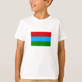 Republic of Karelia Flag Tシャツ (正面)