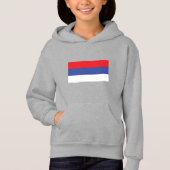 Republika Srpska国旗 (正面)