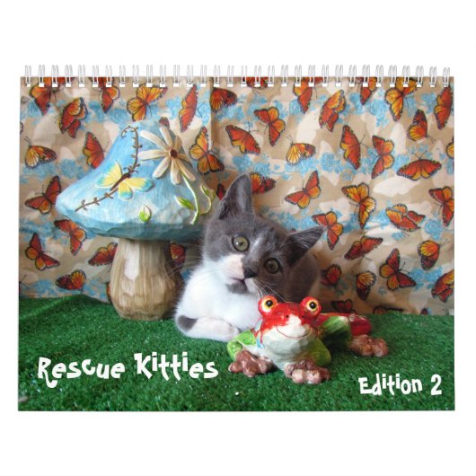 Rescue Cat Calendar – エディション2 カレンダー (カバー)