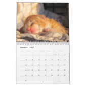 Rescue Cat Calendar – エディション2 カレンダー (1月 2027)