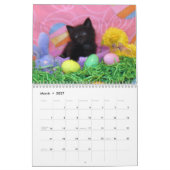 Rescue Cat Calendar – エディション2 カレンダー (3月 2027)
