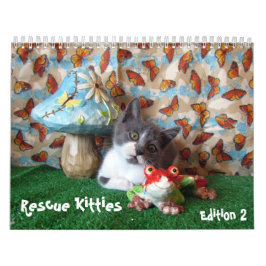 Rescue Cat Calendar – エディション2 カレンダー