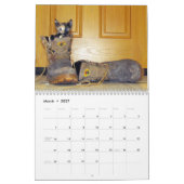 Rescue Cat Calendar – エディション4 カレンダー (3月 2027)