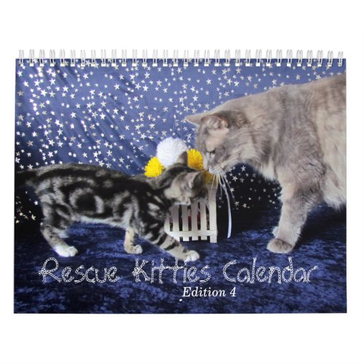 Rescue Cat Calendar – エディション4 カレンダー (カバー)