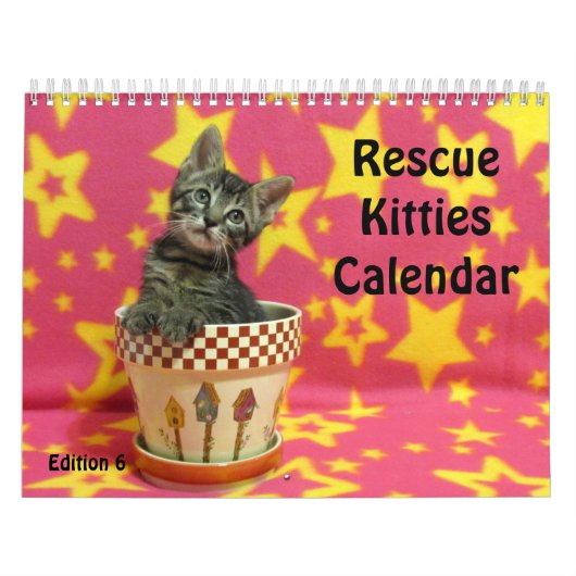 Rescue Cat Calendar – エディション6 カレンダー (カバー)
