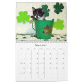 Rescue Cat Calendar – エディション7 カレンダー (3月 2027)