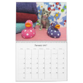 Rescue Cat Calendar – エディション7 カレンダー (1月 2027)