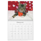 Rescue Cat Calendar – エディション7 カレンダー (2月 2027)