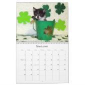 Rescue Cat Calendar – エディション7 カレンダー (3月 2026)