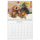 Rescue Cat Calendar – エディション8 カレンダー (1月 2026)