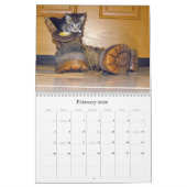 Rescue Cat Calendar – エディション8 カレンダー (2月 2026)