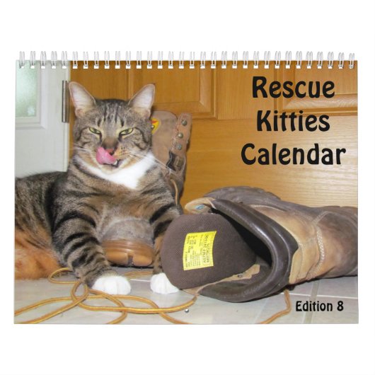 Rescue Cat Calendar – エディション8 カレンダー (カバー)