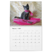 Rescue Cat Calendar -- Edition 3 カレンダー (2月 2027)