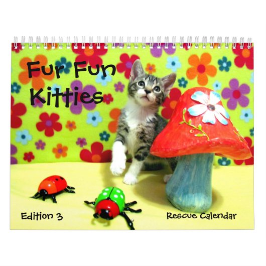 Rescue Cat Calendar -- Edition 3 カレンダー (カバー)