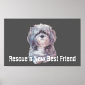 Rescue Dog Poster ポスター (正面)