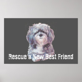 Rescue Dog Poster ポスター