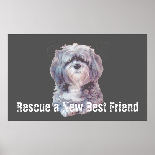 Rescue Dog Poster ポスター (正面)