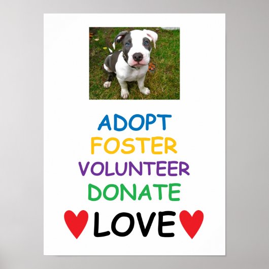 Rescue Dog Poster、Adopt Love ポスター (正面)