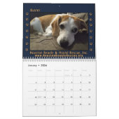 Rescued Beagles 2026 Wall Calendar カレンダー (1月 2026)