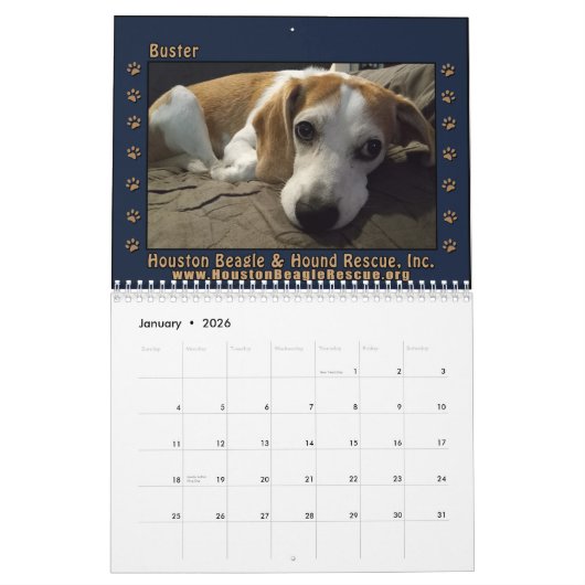 Rescued Beagles 2026 Wall Calendar カレンダー (1月 2026)