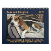Rescued Beagles 2026 Wall Calendar カレンダー (カバー)