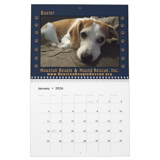 Rescued Beagles 2026 Wall Calendar カレンダー (1月 2026)