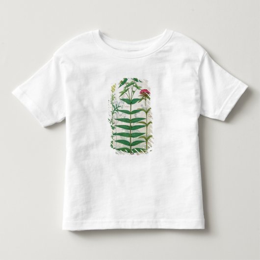 Reseda、トウダイグサ属およびナデシコ トドラーTシャツ (正面)