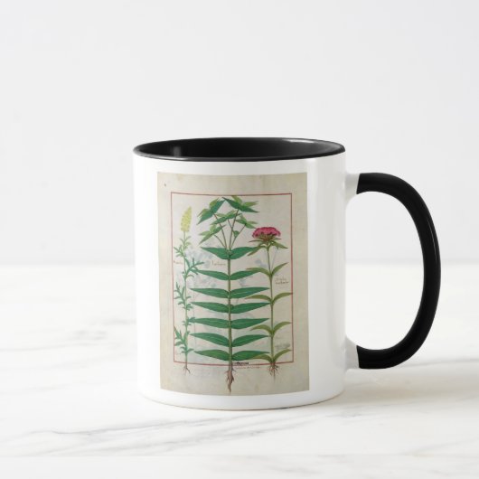 Reseda、トウダイグサ属およびナデシコ マグカップ (右)