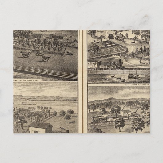 Residences of Robert Crane, EL Davis ポストカード (正面)