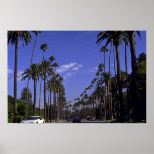 Residential Rodeo Drive, Beverly Hills,カリフォルニア ポスター