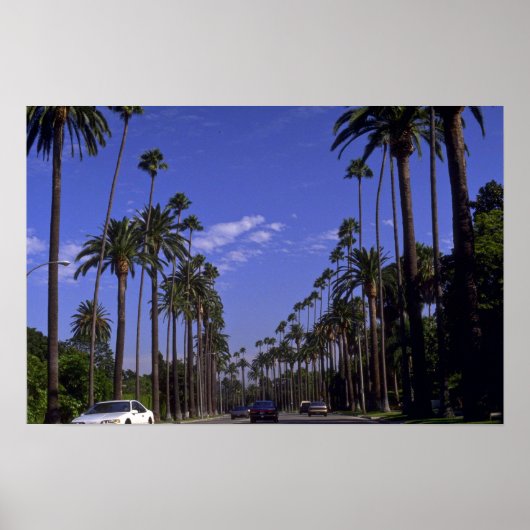 Residential Rodeo Drive, Beverly Hills,カリフォルニア ポスター (正面)