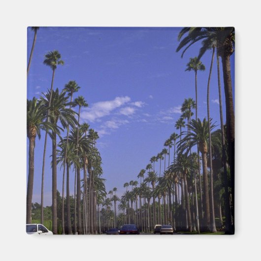 Residential Rodeo Drive, Beverly Hills，カリフォルニア マグネット (正面)