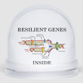 Resilient Genes Inside DNA Replication Biology (正面)