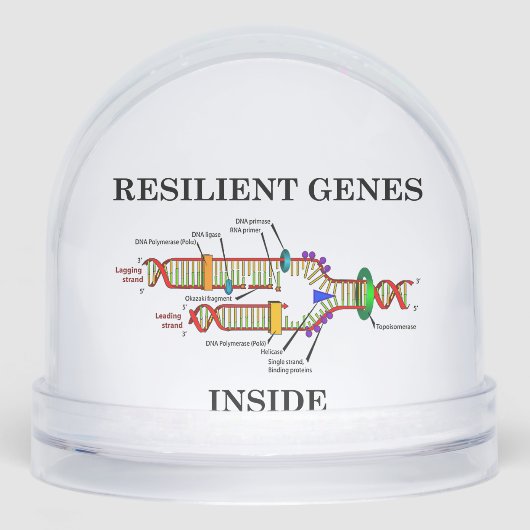 Resilient Genes Inside DNA Replication Biology (正面)