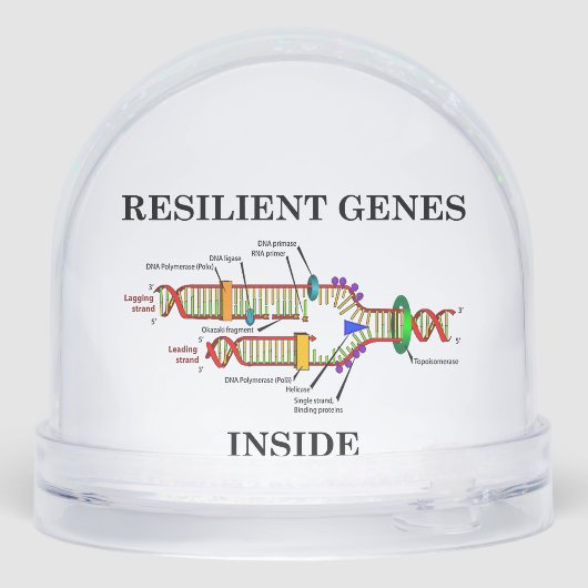 Resilient Genes Inside DNA Replication Biology (裏面)