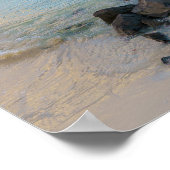 Resilient tree, soft coastal Caribbean ポスター (角)