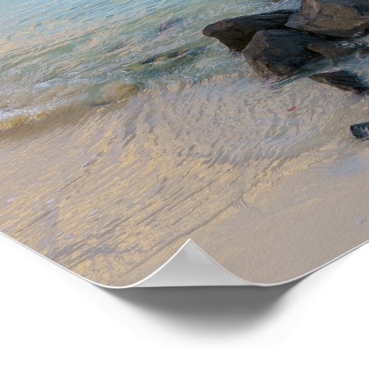 Resilient tree, soft coastal Caribbean ポスター (角)