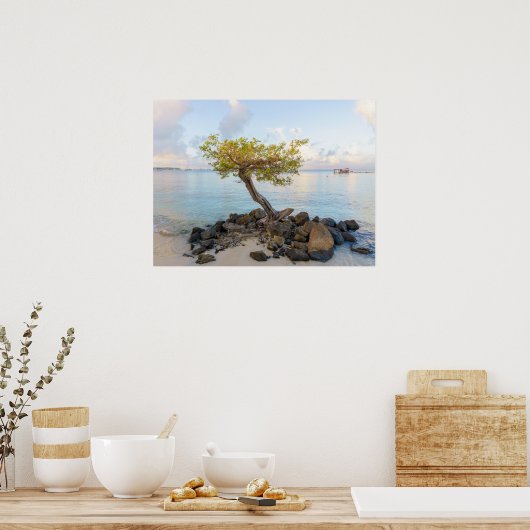Resilient tree, soft coastal Caribbean ポスター (キッチン)