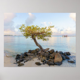 Resilient tree, soft coastal Caribbean ポスター