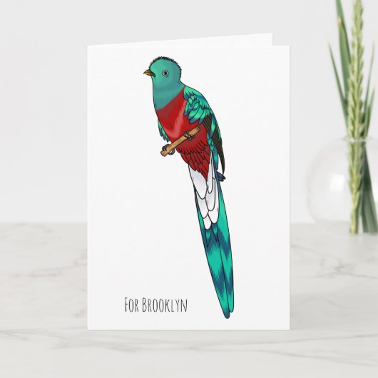 Resplendent quetzal bird cartoon illustration カード (正面)