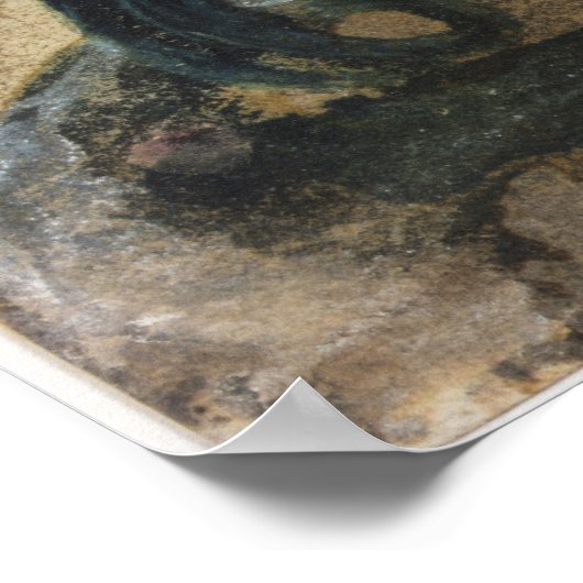 Respublica, Aquila Gentium ポスター (角)